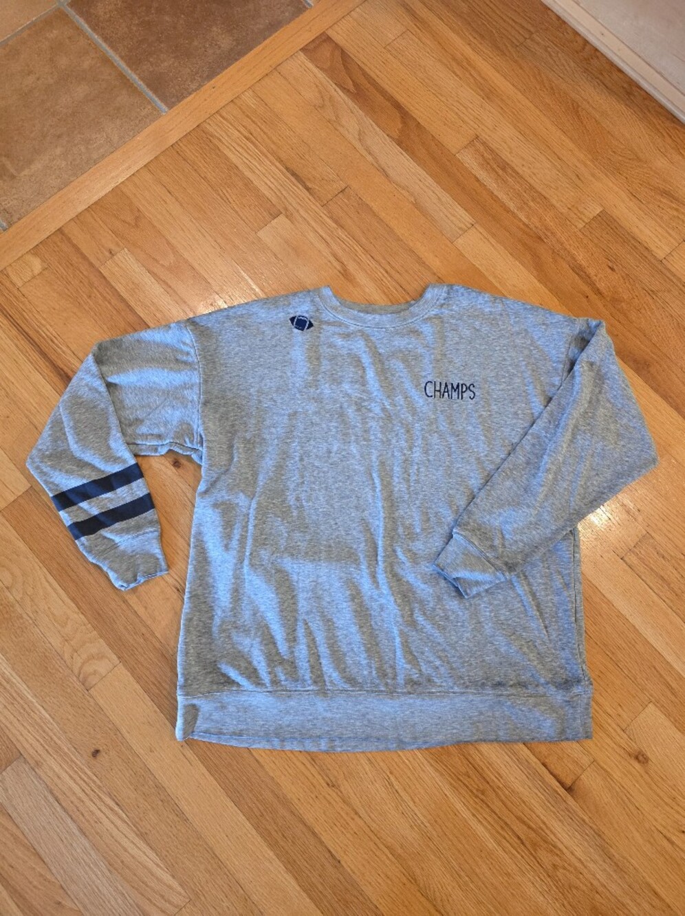 Wildfox Gray Pullover Sweatshirt Game Day Champagne Champs